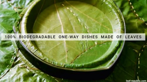 leaf republic plates