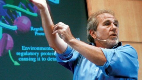 Bruce Lipton