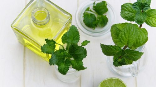 máta aromaterapie