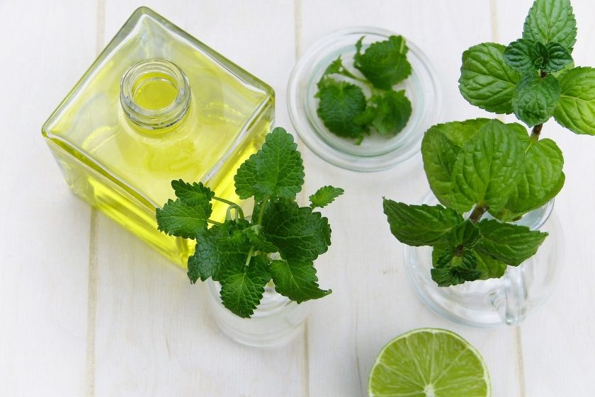 máta aromaterapie