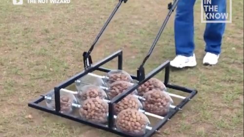 Nut Wizard