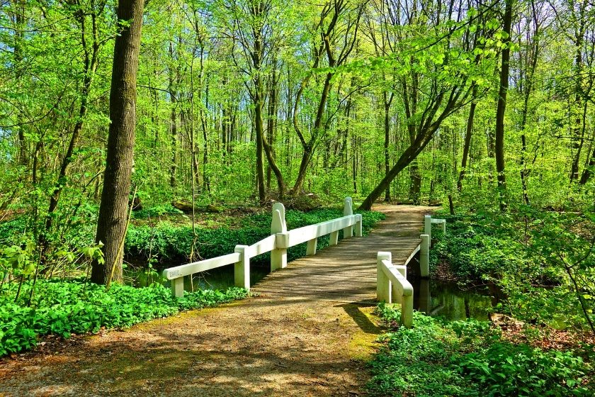 nature KANKRY bridge