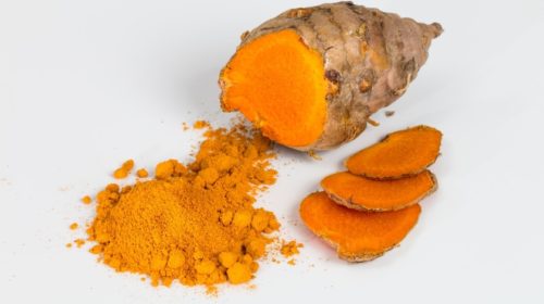 Curcuma longa