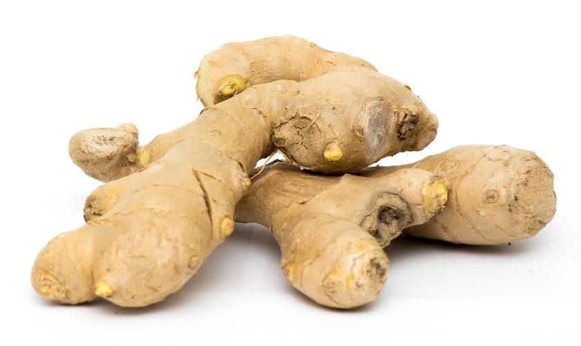 ginger zázvor