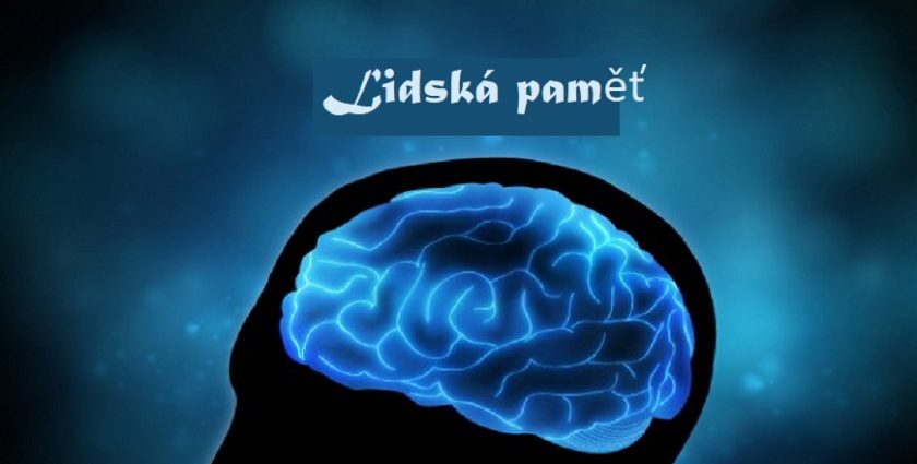 Paměť článek