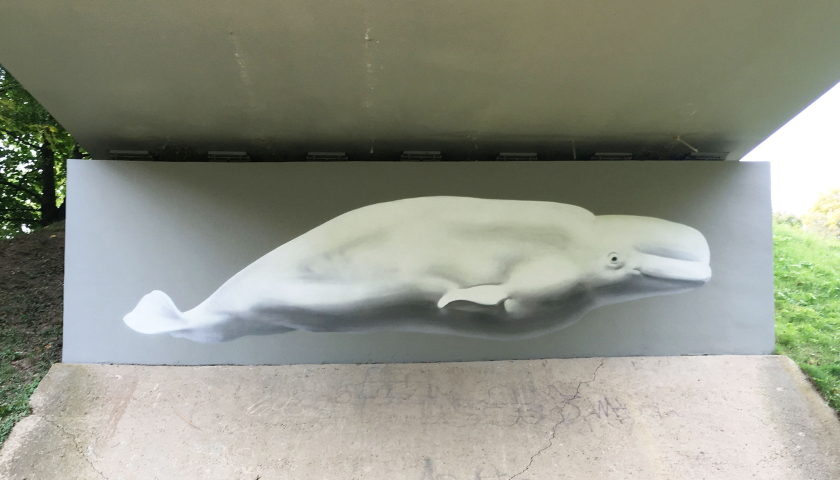 graffiti Brno