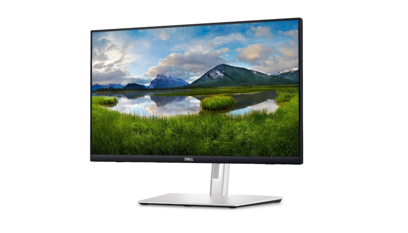 Dell P2424HT
